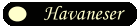 Havaneser