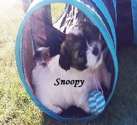 


Snoopy